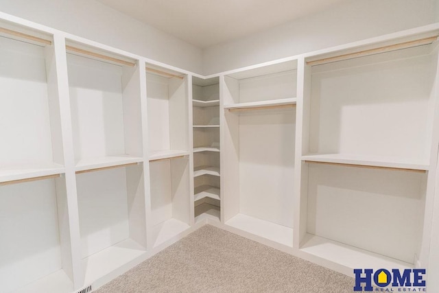 walk in closet featuring carpet flooring