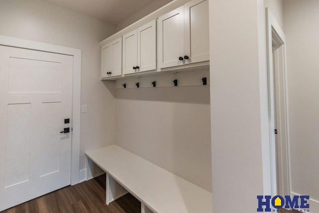 mudroom with dark wood-type flooring