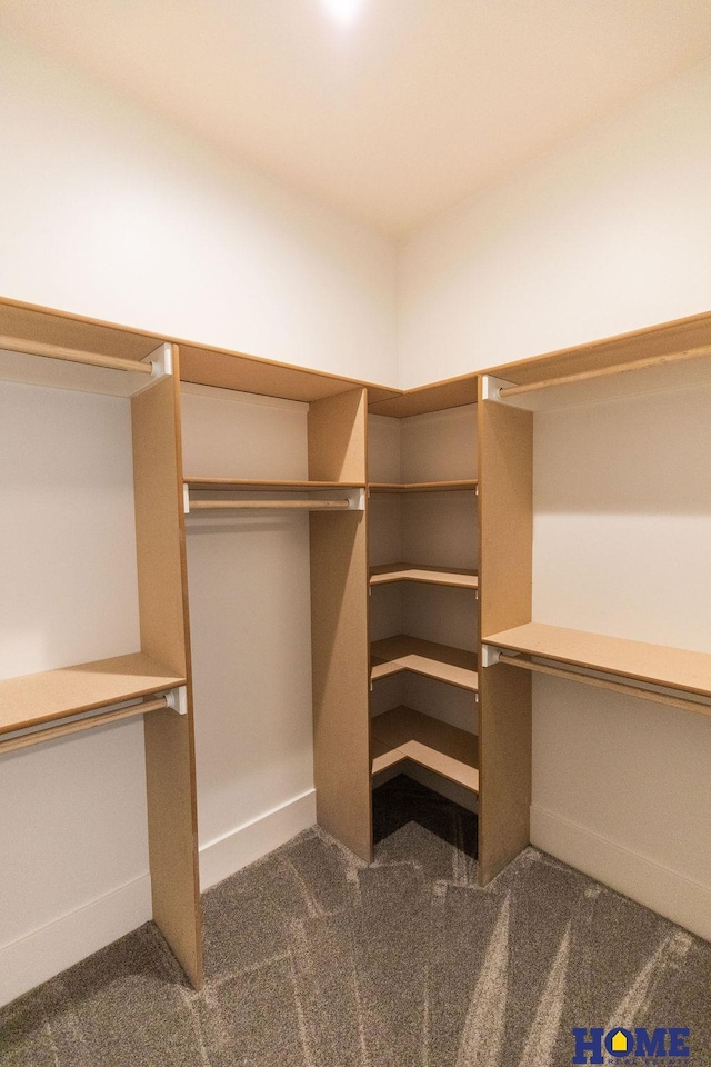 spacious closet with dark carpet