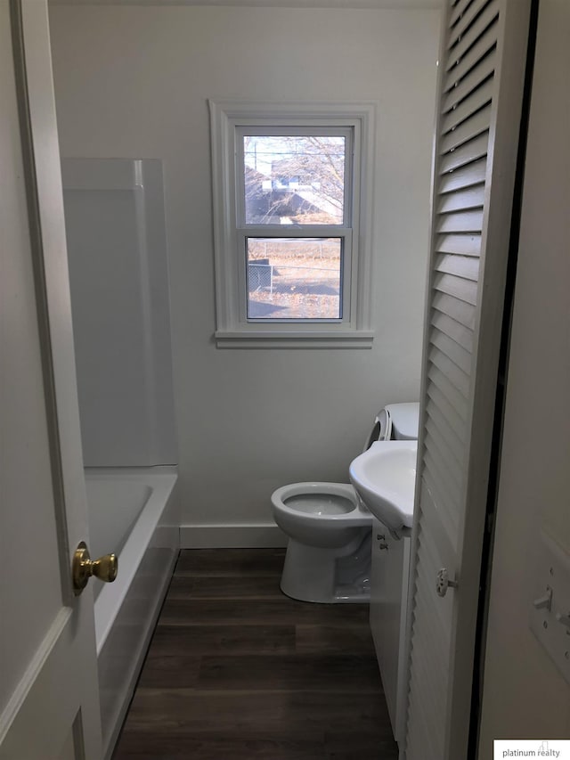 bathroom featuring toilet, vanity, and wood-type flooring