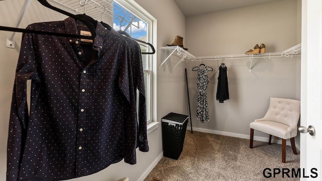 walk in closet featuring carpet flooring