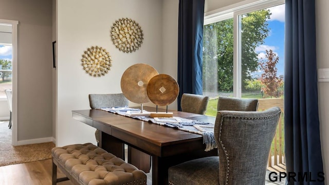 dining space with hardwood / wood-style flooring