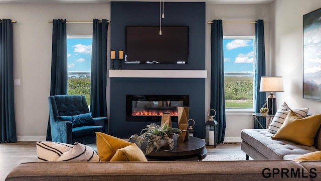 living room with hardwood / wood-style flooring