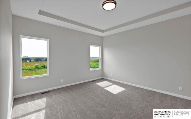 carpeted empty room featuring a raised ceiling