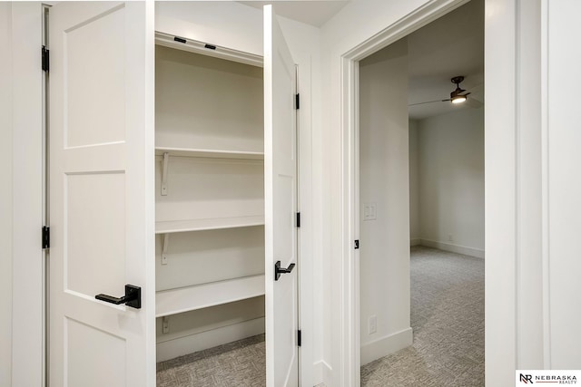 view of closet