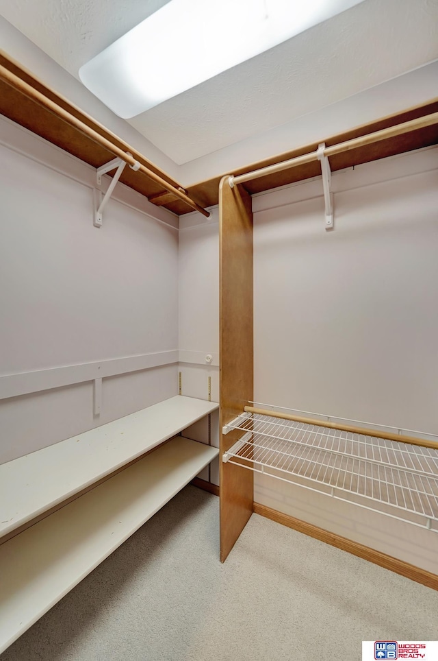 walk in closet featuring carpet floors