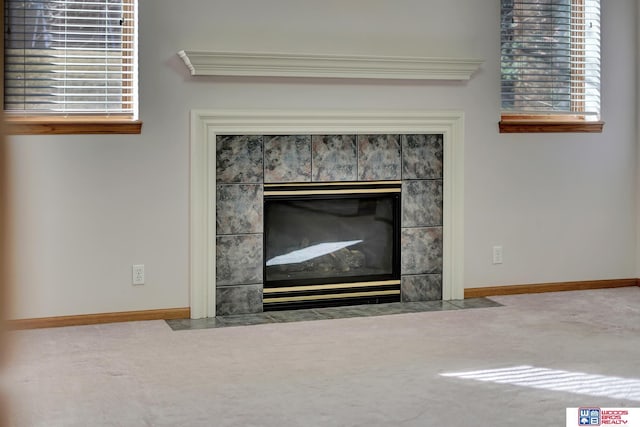 room details with a fireplace and carpet floors