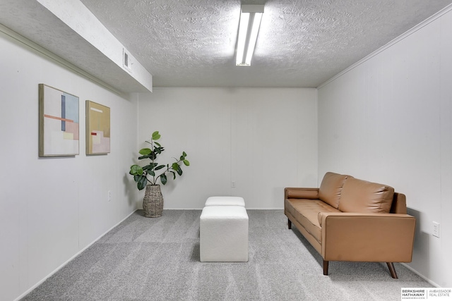 sitting room with light carpet and a textured ceiling