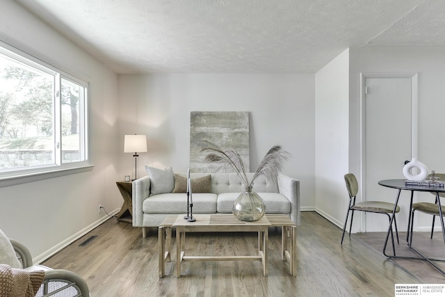 living room featuring light hardwood / wood-style floors and a textured ceiling