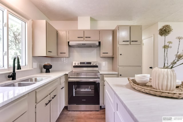 kitchen featuring stainless steel electric stove, sink, and dark wood-type flooring