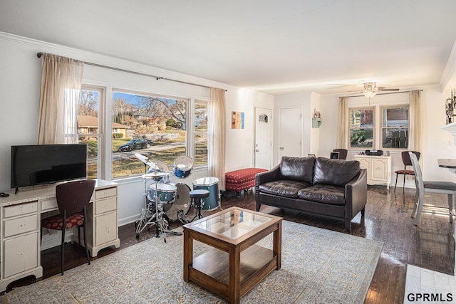 living room with plenty of natural light, dark hardwood / wood-style floors, and crown molding