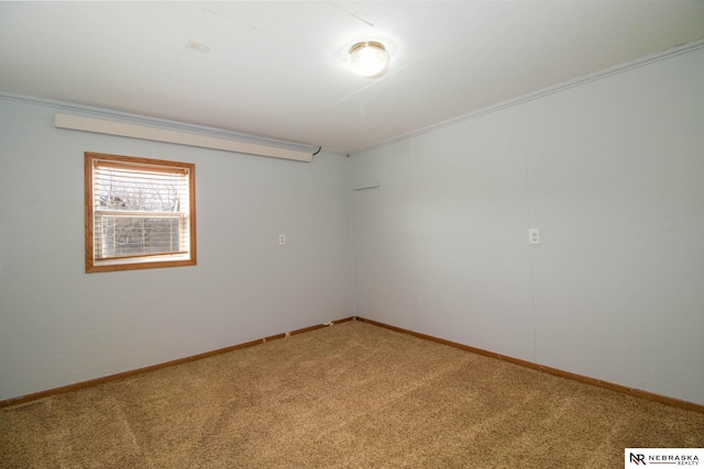 empty room featuring crown molding and carpet