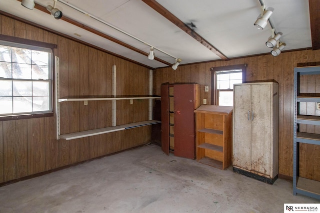 interior space featuring rail lighting and wooden walls