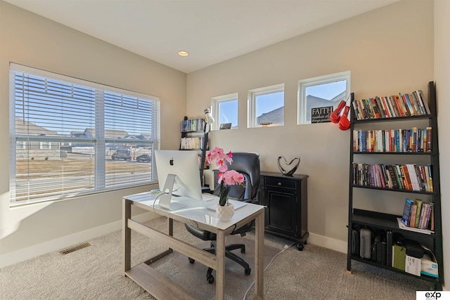 home office with carpet