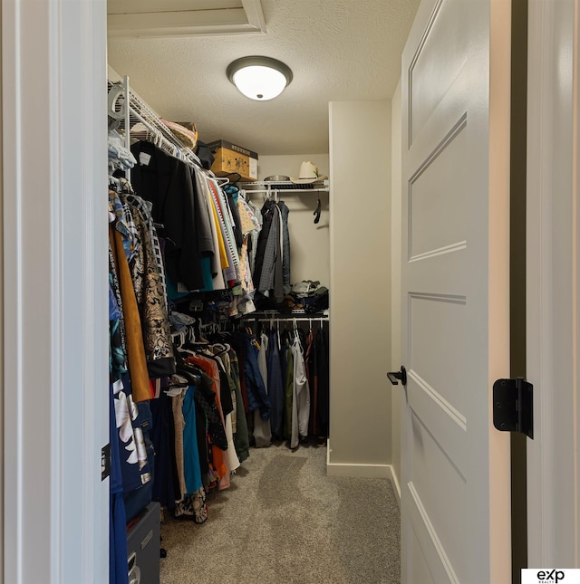 walk in closet with carpet