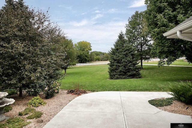 view of yard featuring a patio