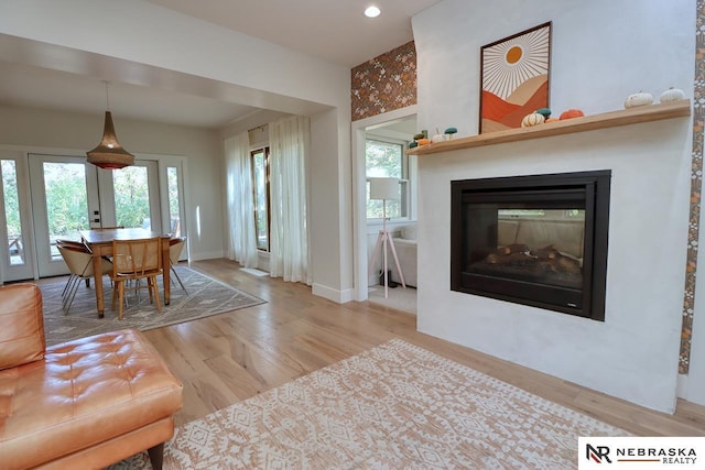 living room with light wood-type flooring and a multi sided fireplace