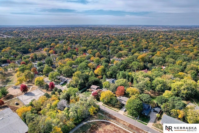 drone / aerial view