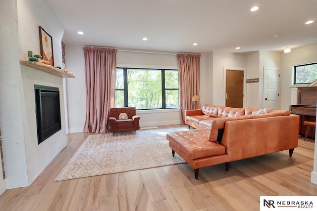 living room with light wood-type flooring