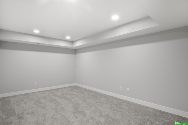 basement with carpet