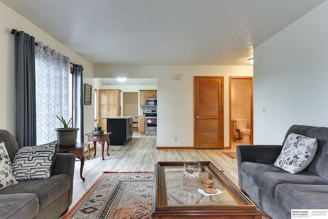 living room featuring light hardwood / wood-style flooring