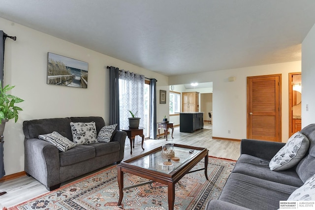 living room featuring light hardwood / wood-style flooring