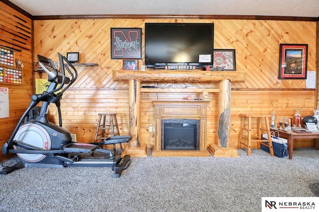 exercise area with ornamental molding, wooden walls, carpet floors, and a textured ceiling