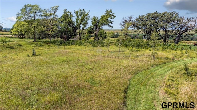 view of landscape with a rural view