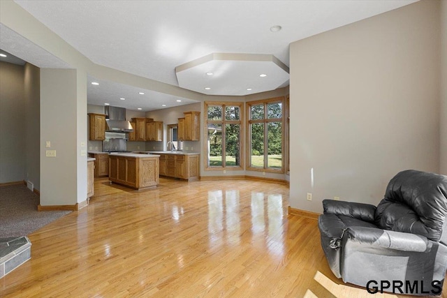 living room featuring sink and light hardwood / wood-style flooring