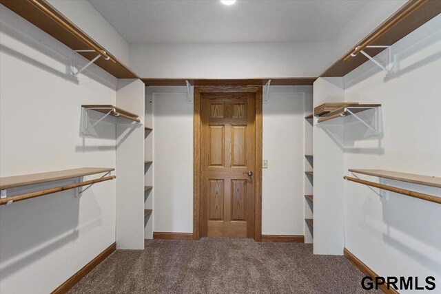 walk in closet featuring dark colored carpet