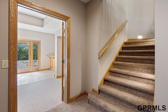 stairway featuring carpet floors