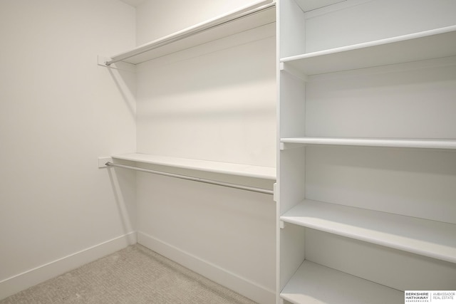 spacious closet with light colored carpet