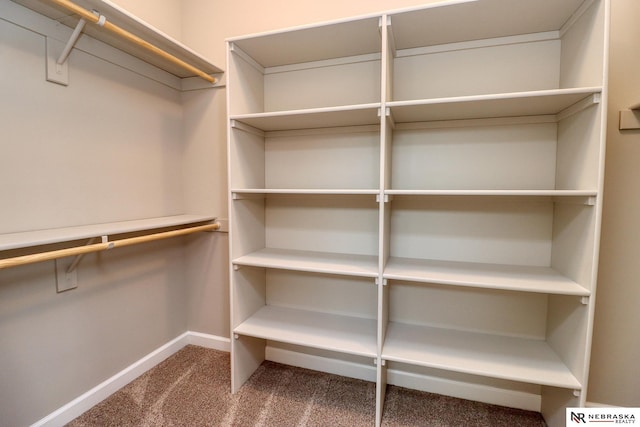 walk in closet with carpet floors