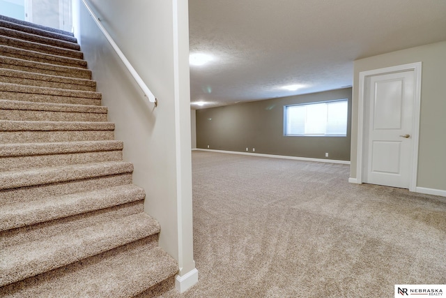 basement featuring carpet