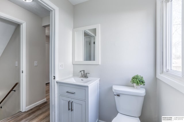 bathroom featuring vanity, wood-type flooring, and toilet