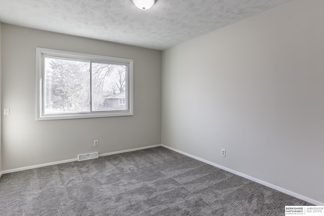 empty room with carpet flooring and a textured ceiling