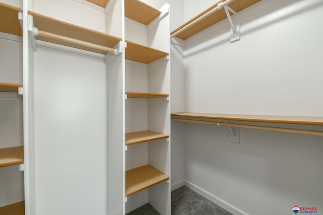 walk in closet featuring dark colored carpet and built in desk