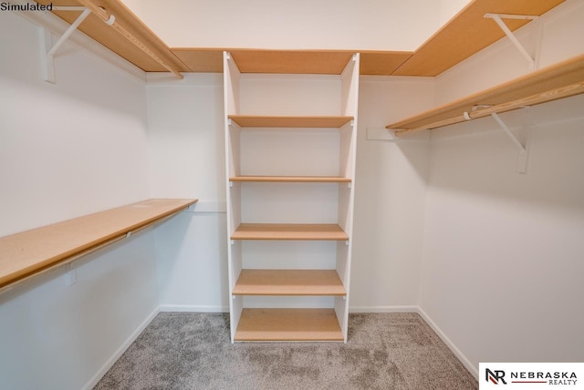 walk in closet with carpet floors