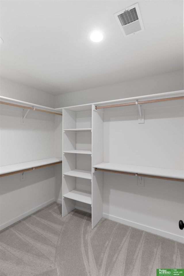 spacious closet with light carpet