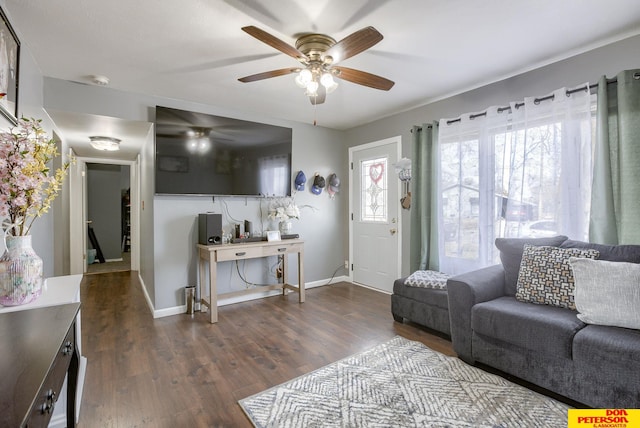 living room with ceiling fan and wood-type flooring