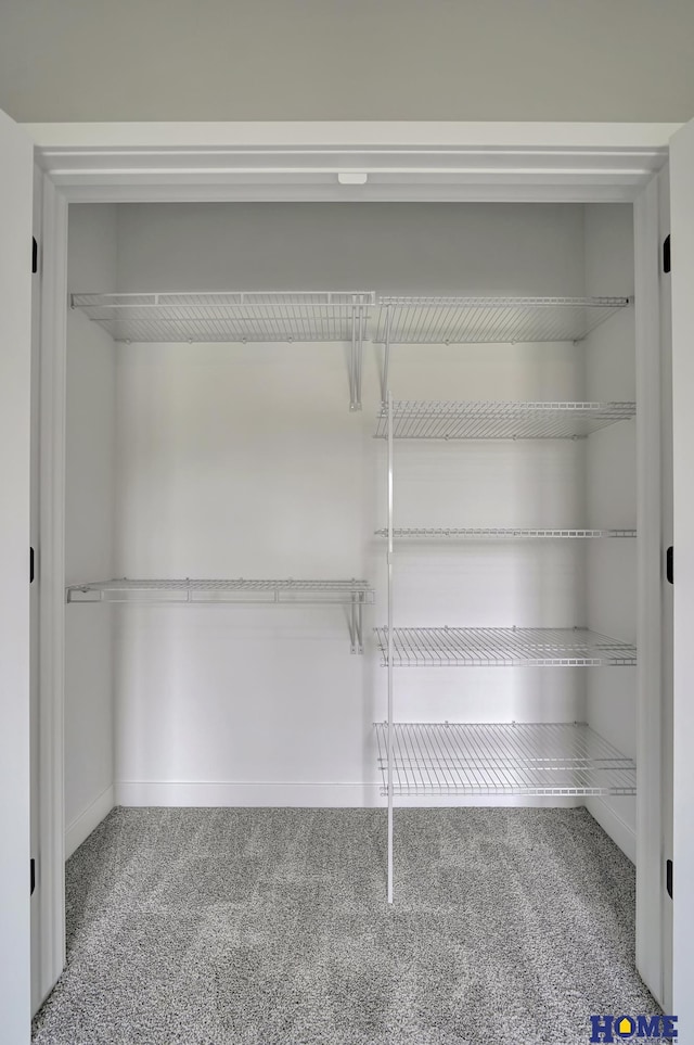 view of closet