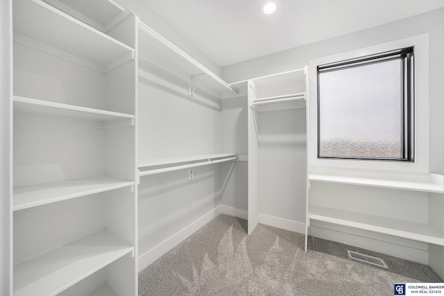 spacious closet featuring carpet