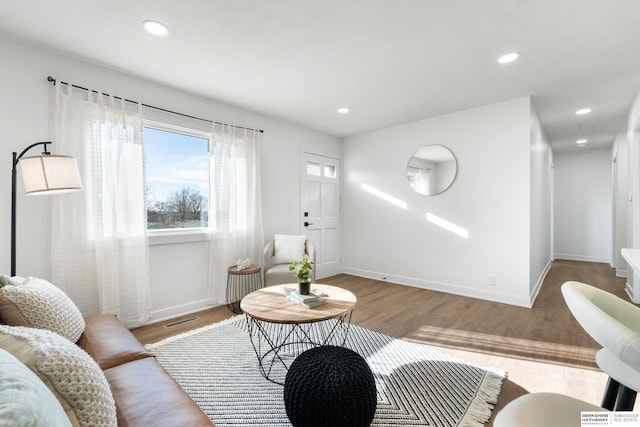 living room featuring light hardwood / wood-style flooring