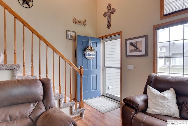 foyer entrance featuring wood-type flooring