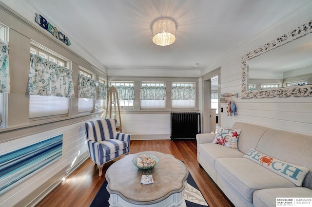 living room featuring hardwood / wood-style flooring, crown molding, and radiator