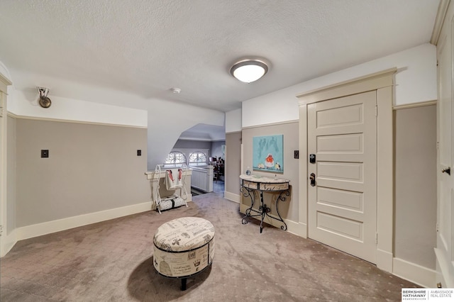 interior space featuring light colored carpet and a textured ceiling