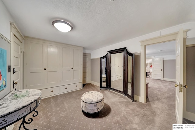 sitting room featuring light colored carpet and a textured ceiling