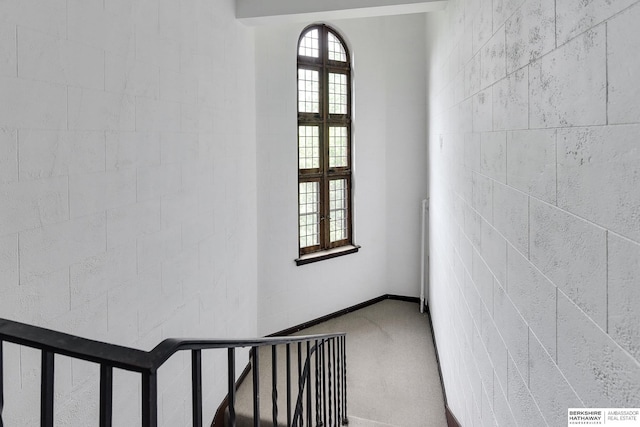 stairway with carpet floors