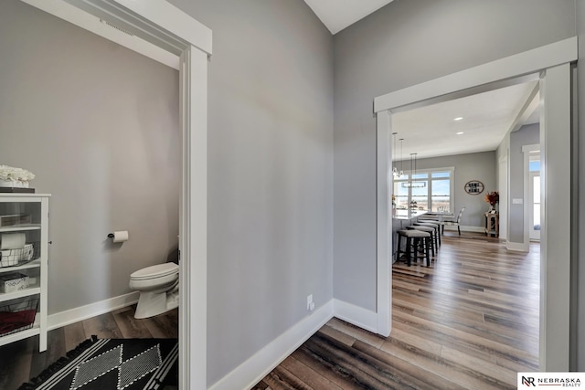 bathroom featuring toilet and hardwood / wood-style floors