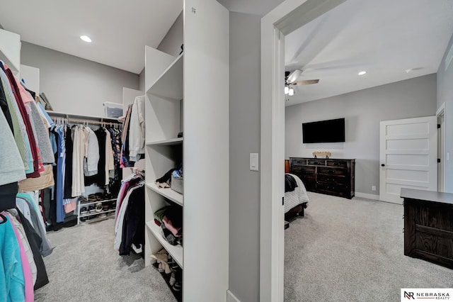 walk in closet featuring light carpet and ceiling fan